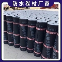 湿铺防水卷材在车库底板中的应用与市场销售策略分析